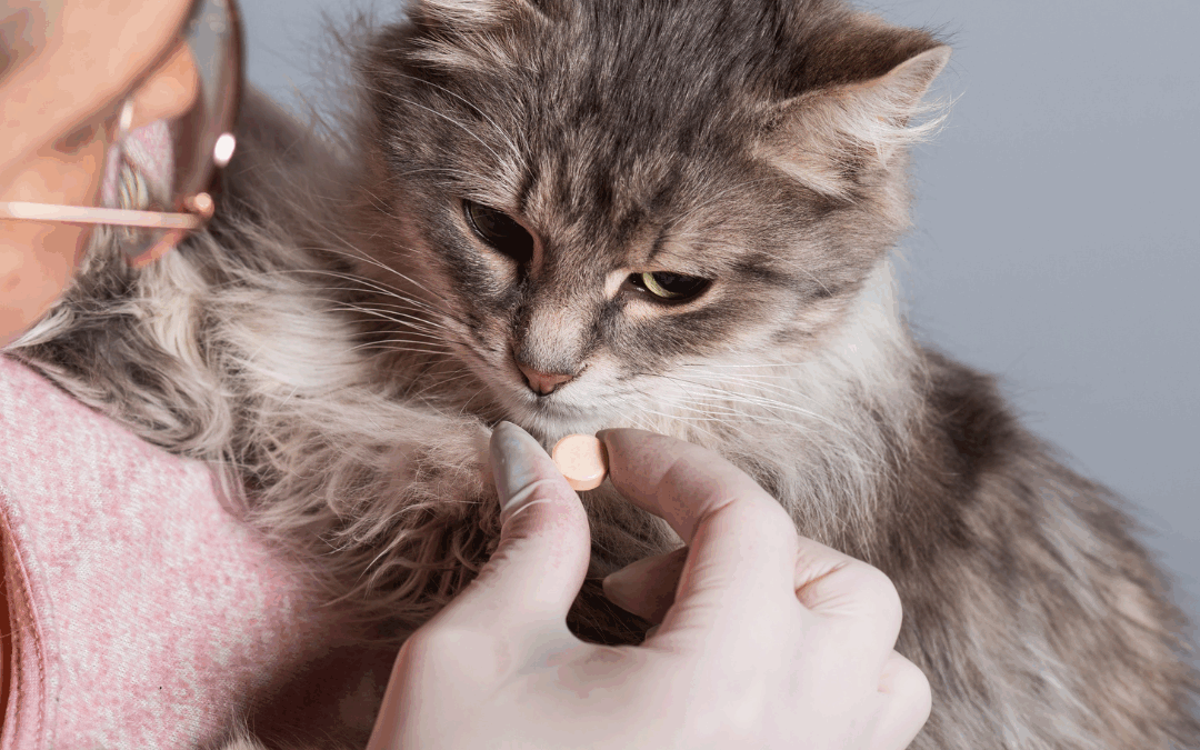 Cardiac Medications